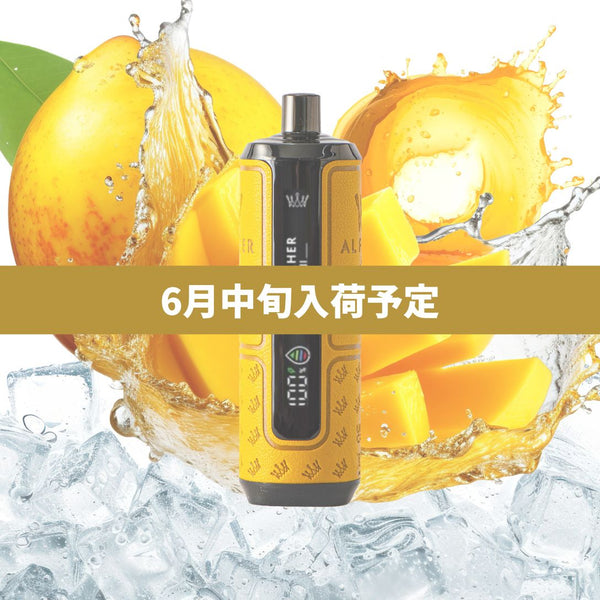 【予約購入】15K｜クールマンゴー（6月中旬入荷予定）