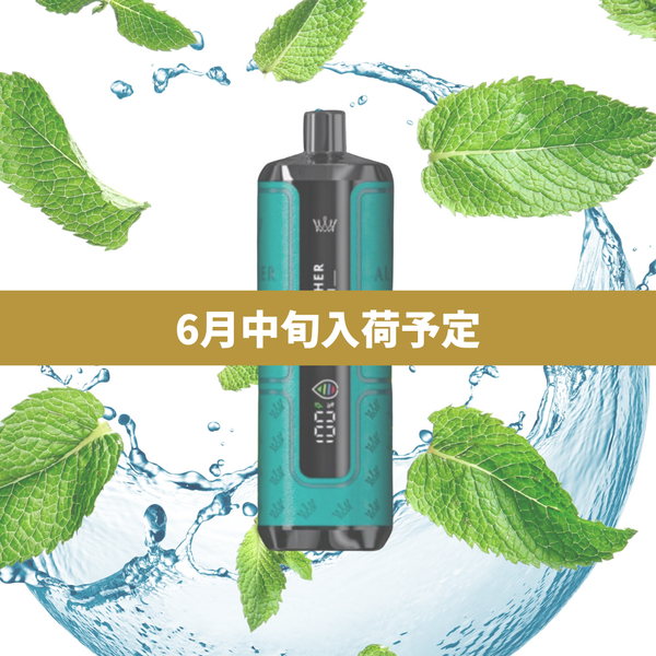 【予約購入】15K｜ミント（6月中旬入荷予定）