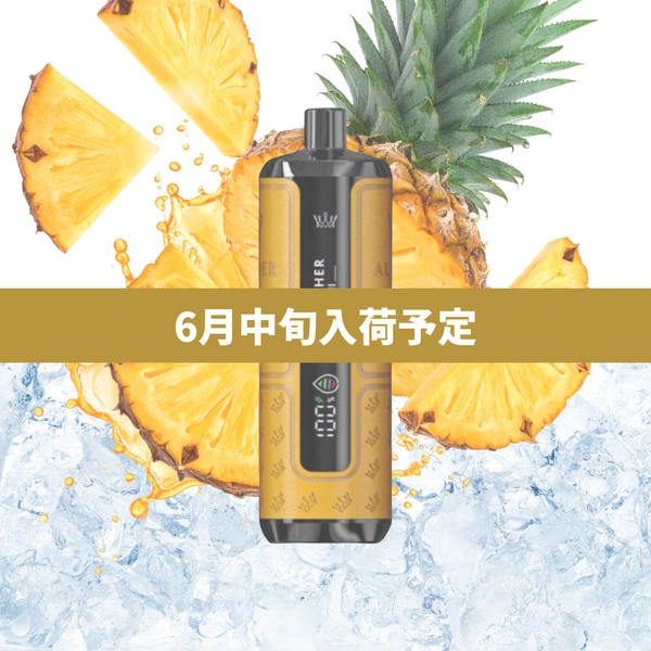 【予約購入】15K｜パイナップルアイス（6月中旬入荷予定）